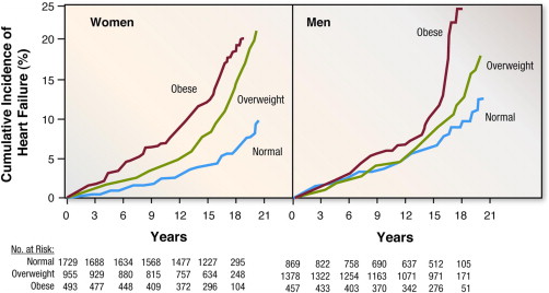 Obesitys Effect On Heart Disease Genetics Of Obesity 